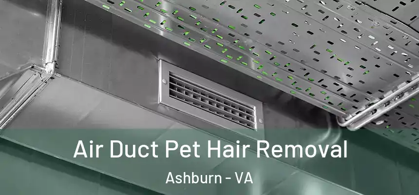  Air Duct Pet Hair Removal Ashburn - VA