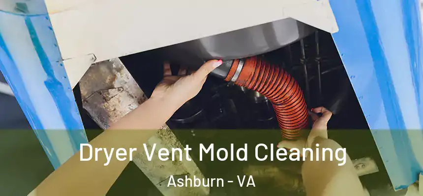 Dryer Vent Mold Cleaning Ashburn - VA