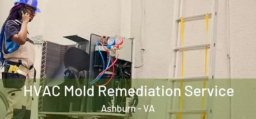 HVAC Mold Remediation Service Ashburn - VA