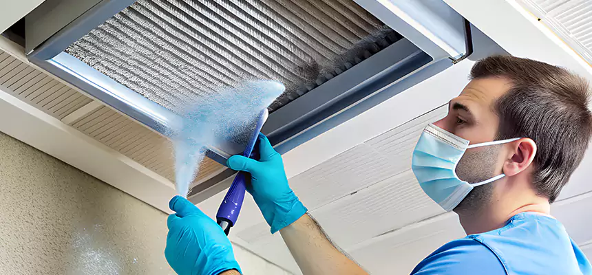 Proactive Dryer Vent & Auxiliary Duct Pollen Cleanup in Ashburn, VA