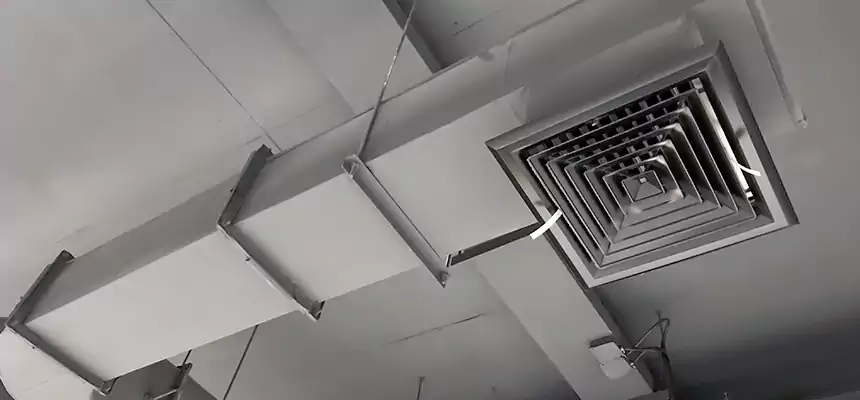 Our Pest Removal From Ducts Services in Ashburn, VA