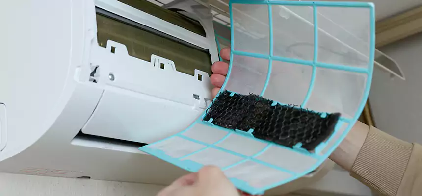 Gentle Ductwork Odor-Control Pet Dander Duct Cleaning in Ashburn, VA