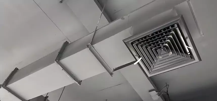 Our Rodent Droppings In Vents Services in Ashburn, VA