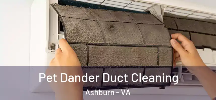 Pet Dander Duct Cleaning Ashburn - VA