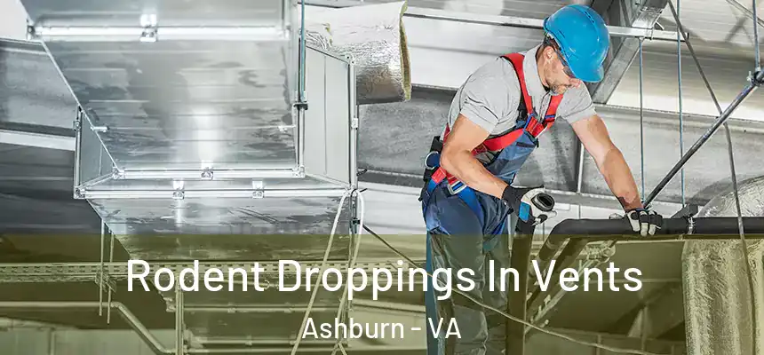  Rodent Droppings In Vents Ashburn - VA