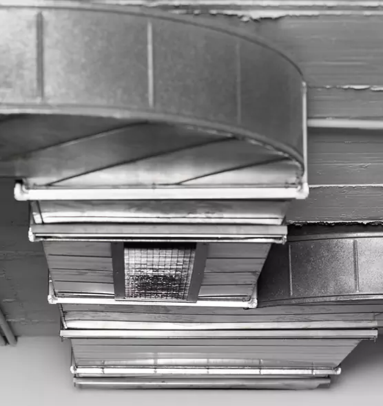 Professional Air Duct Pest Removal in Ashburn, VA