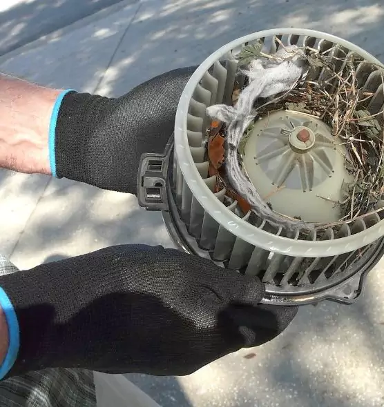 About Air Duct Rat Removal in Ashburn, VA