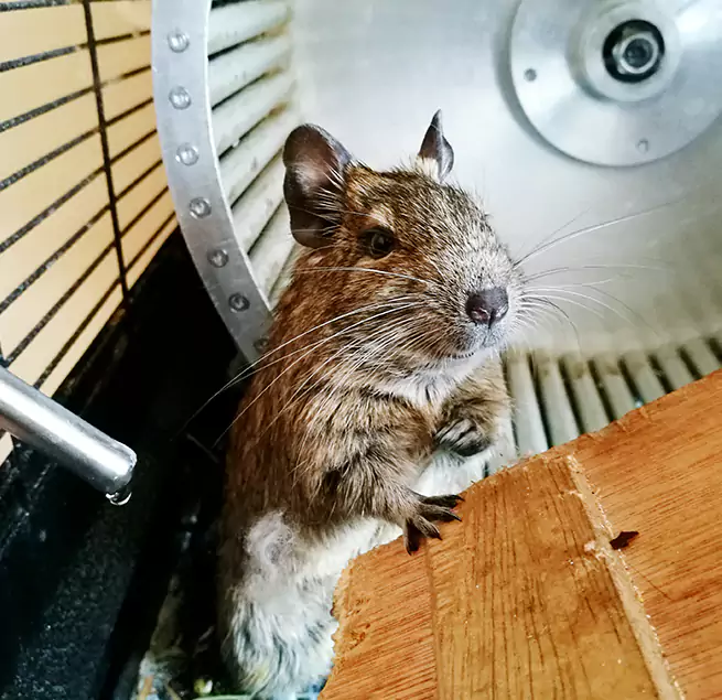 Why Homeowners & Businesses Trust Us Ashburn, VA?