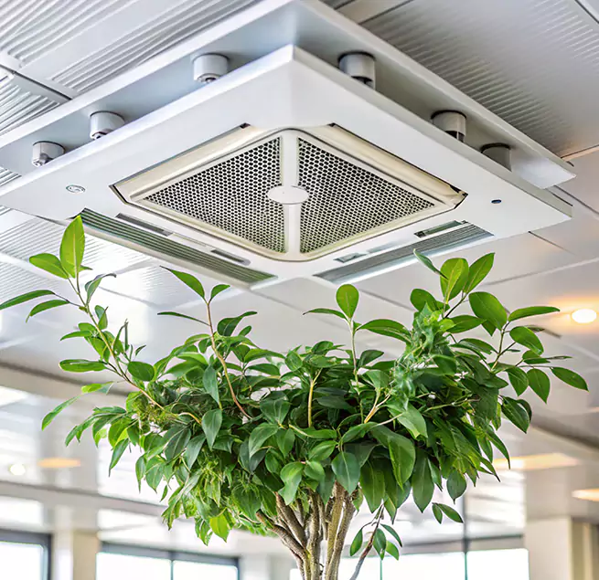 Why Homeowners & Businesses Trust Us in Ashburn, VA?