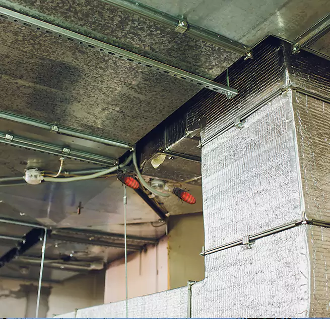 Why Homeowners & Businesses Trust Us Ashburn, VA?